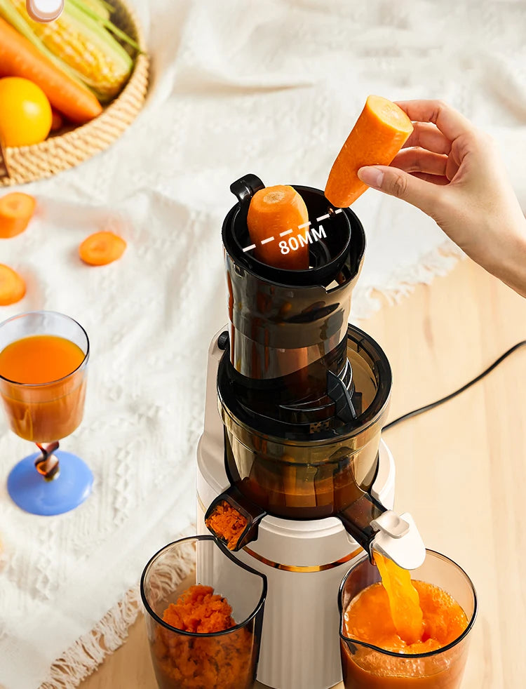 Blendee ColdPress Slim Juicer