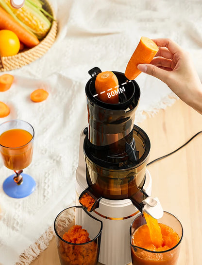 Blendee ColdPress Slim Juicer