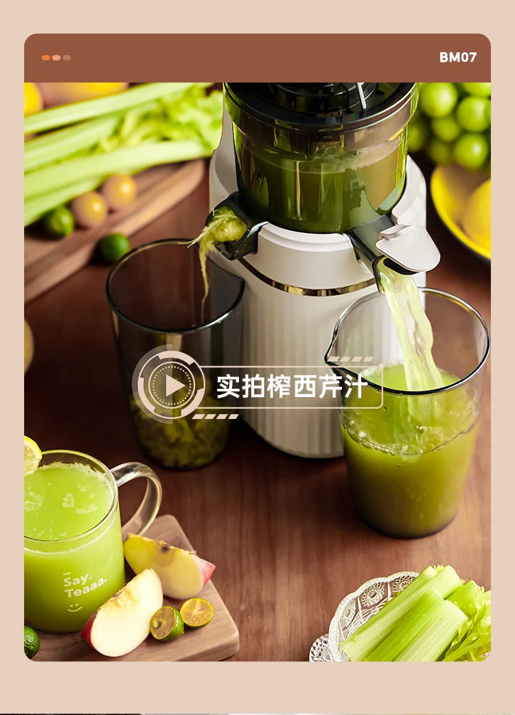 Blendee ColdPress Slim Juicer