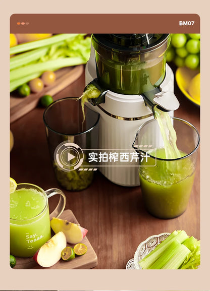 Blendee ColdPress Slim Juicer