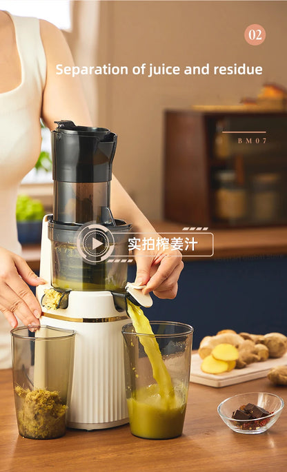 Blendee ColdPress Slim Juicer