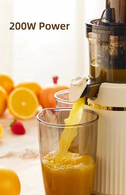 Blendee ColdPress Slim Juicer