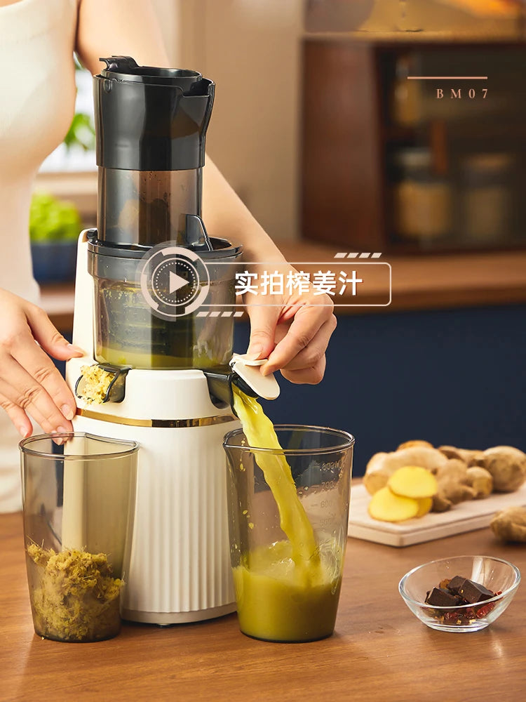 Blendee ColdPress Slim Juicer
