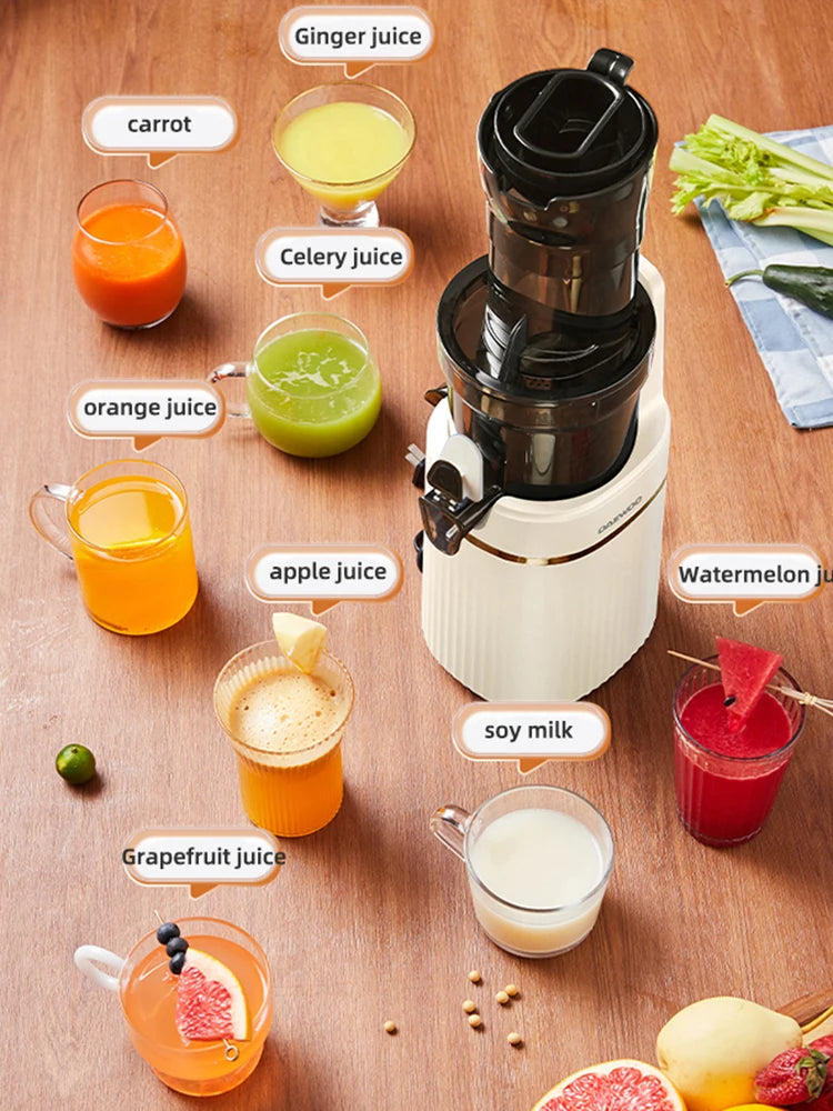 Blendee ColdPress Slim Juicer